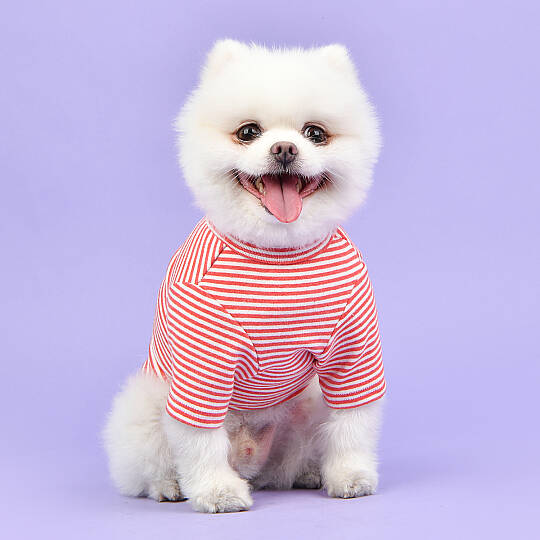 STRIPE ROUND NECK / RED - 6