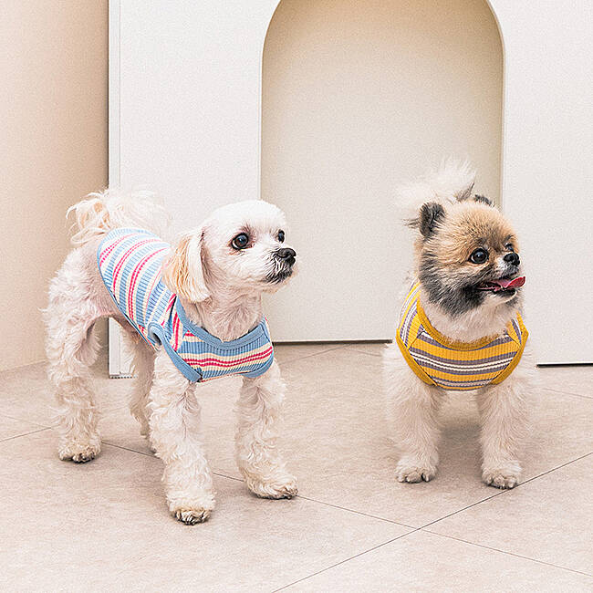 STRIPED BUNNY T-SHIRT / SKY BLUE - 4