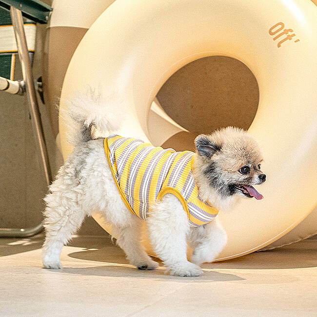 STRIPED BUNNY T-SHIRT / YELLOW - 3