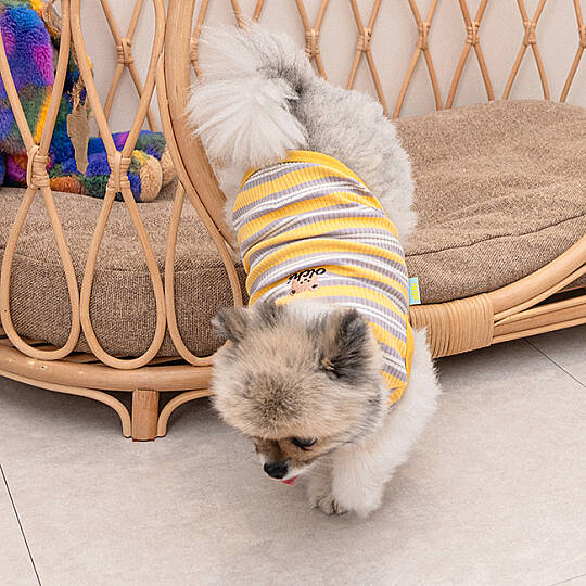 STRIPED BUNNY T-SHIRT / YELLOW - 4