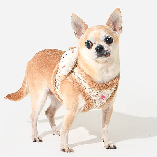 TAILSY VEST HARNESS./BEIGE - 5