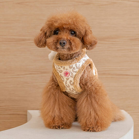 TAILSY VEST HARNESS./BEIGE - 6