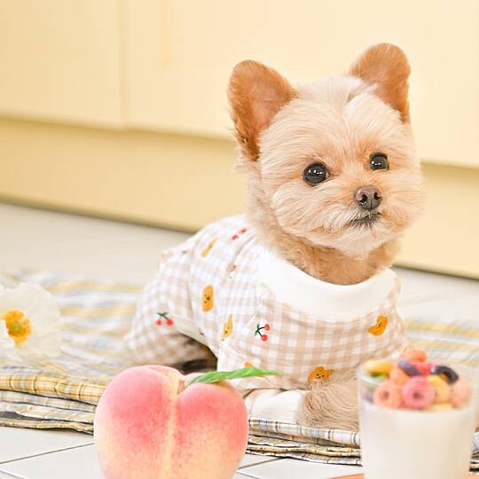 TEDDY / BEIGE - 8