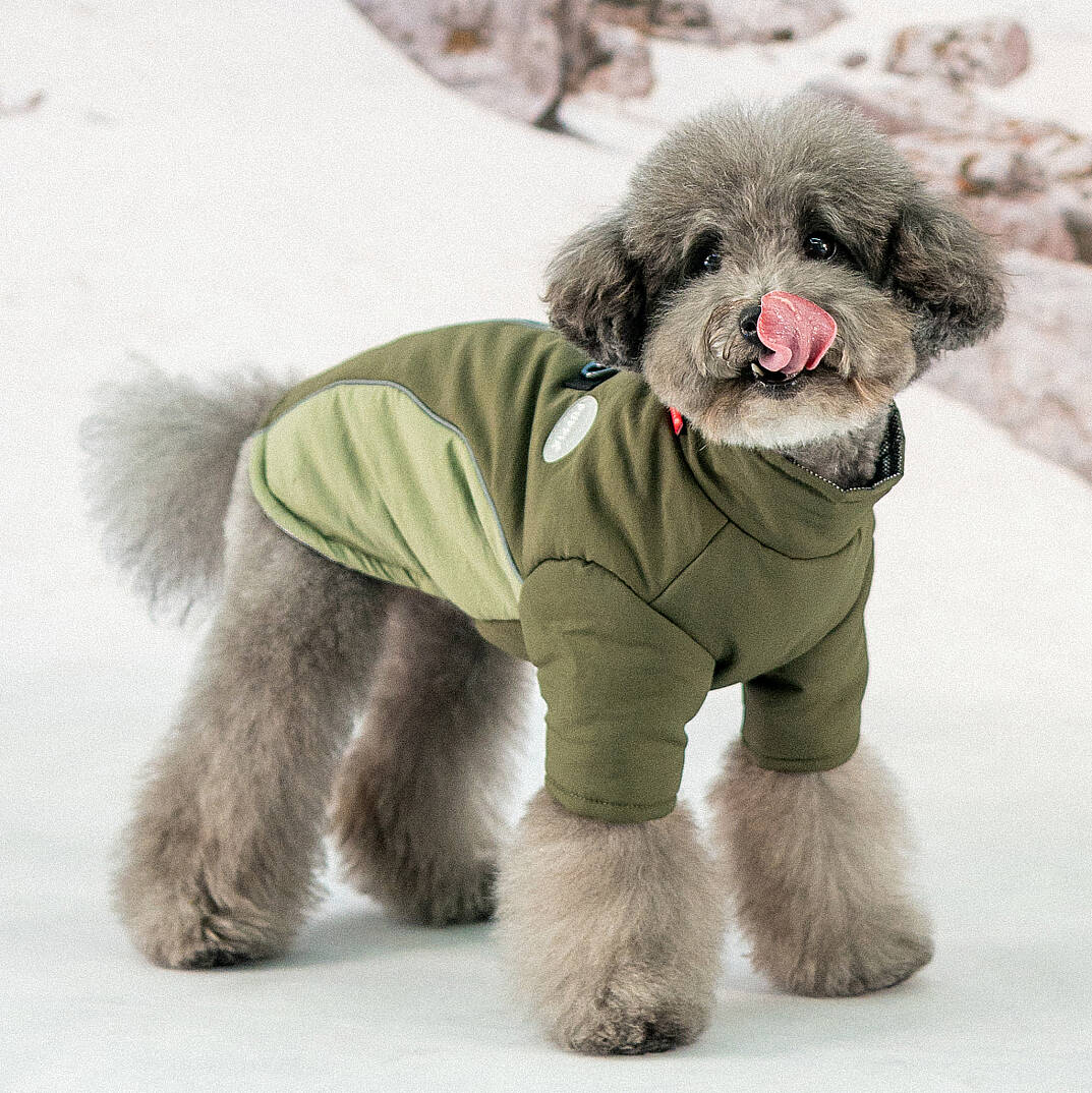 TERRAIN ACTIVE JACKET / KHAKI - 5