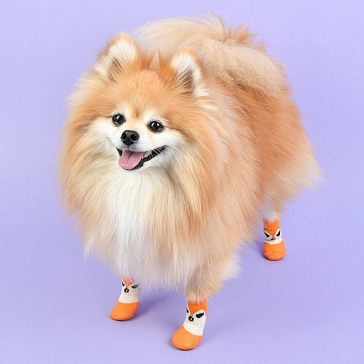 THE ZOO WATER PROOF / ORANGE - 5