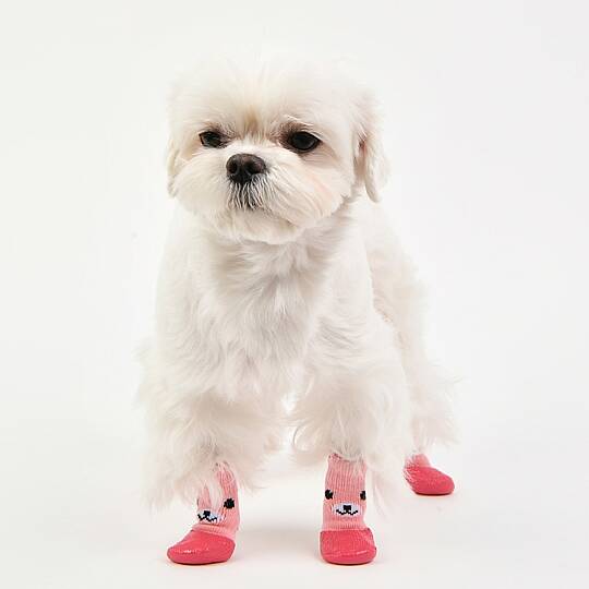 THE ZOO WATER PROOF / PINK - 6