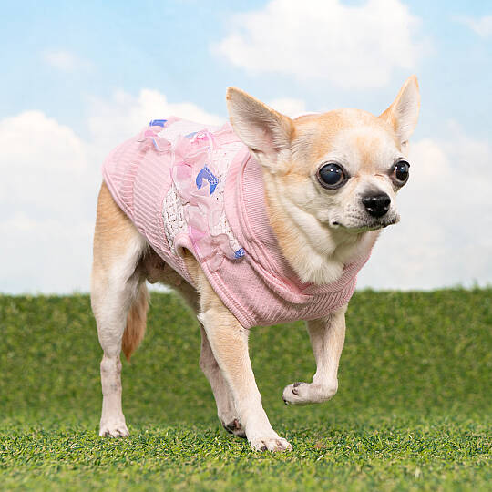 TIANA/PINK - 5