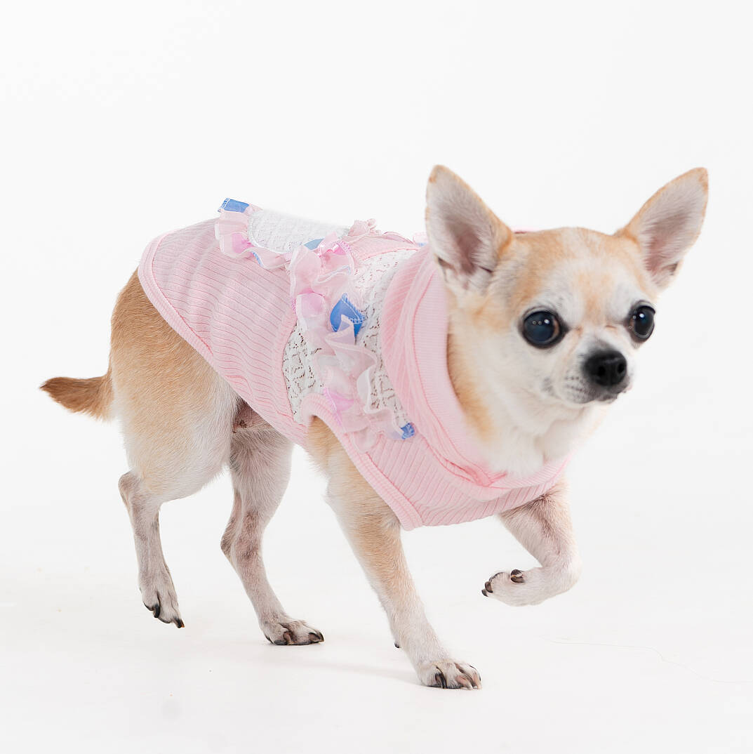 TIANA/PINK - 7