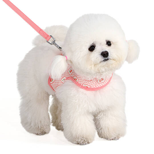 TRIXIE HARNESS J/INDIAN PINK - 3