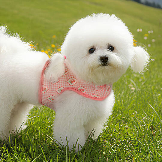 TRIXIE HARNESS J/INDIAN PINK - 4