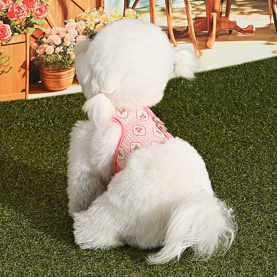 TRIXIE HARNESS J/INDIAN PINK - 6