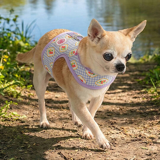 TRIXIE HARNESS J/VIOLET - 3