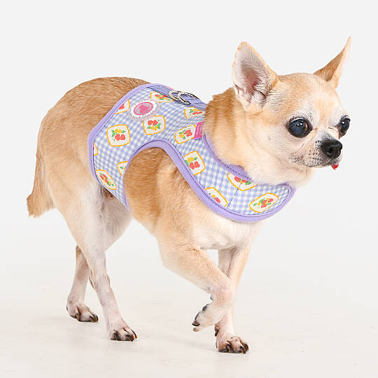 TRIXIE HARNESS J/VIOLET - 4