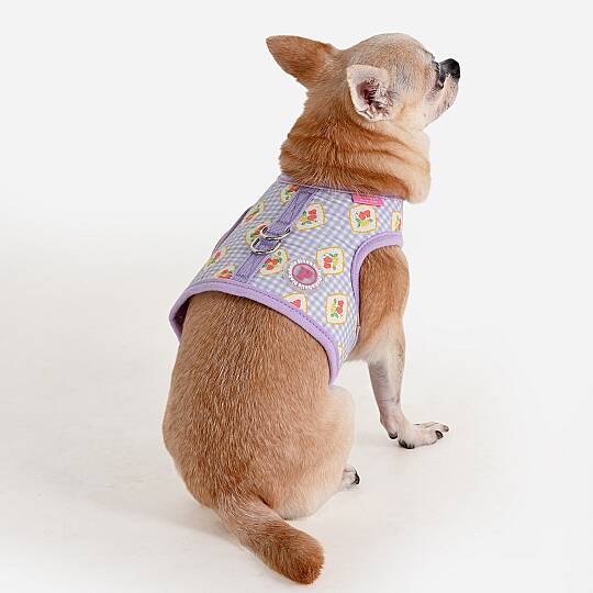 TRIXIE HARNESS J/VIOLET - 5