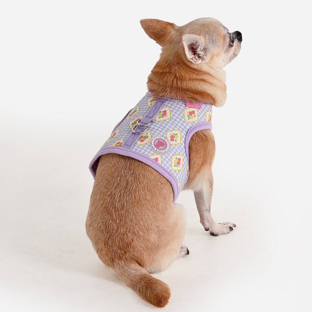 TRIXIE HARNESS J/VIOLET - 5