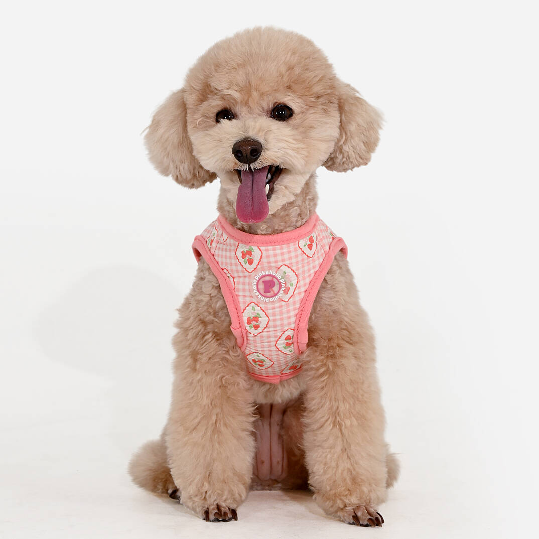 TRIXIE VEST HARNESS/INDIAN PINK - 6