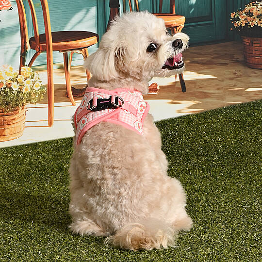 TRIXIE VEST HARNESS/INDIAN PINK - 7