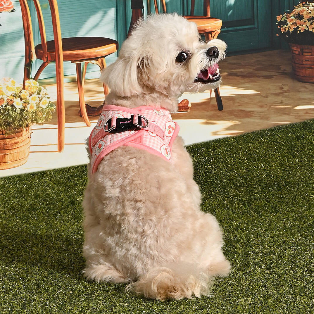 TRIXIE VEST HARNESS/INDIAN PINK - 7