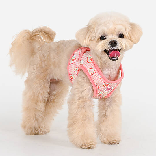 TRIXIE VEST HARNESS/INDIAN PINK - 8