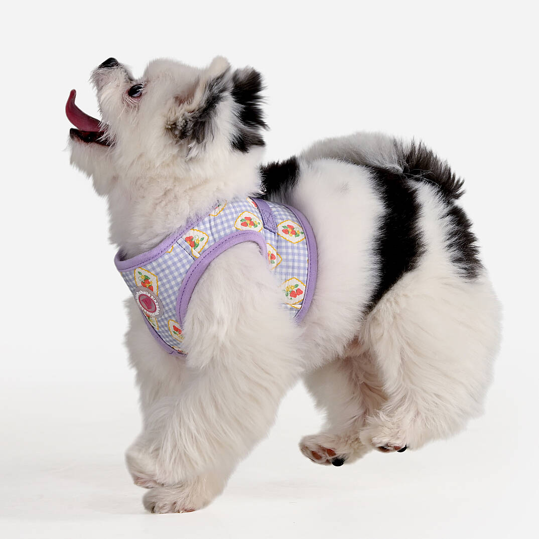 TRIXIE VEST HARNESS/VIOLET - 5