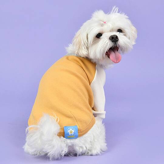 TWO COLOR BLOCK / YELLOW - 6