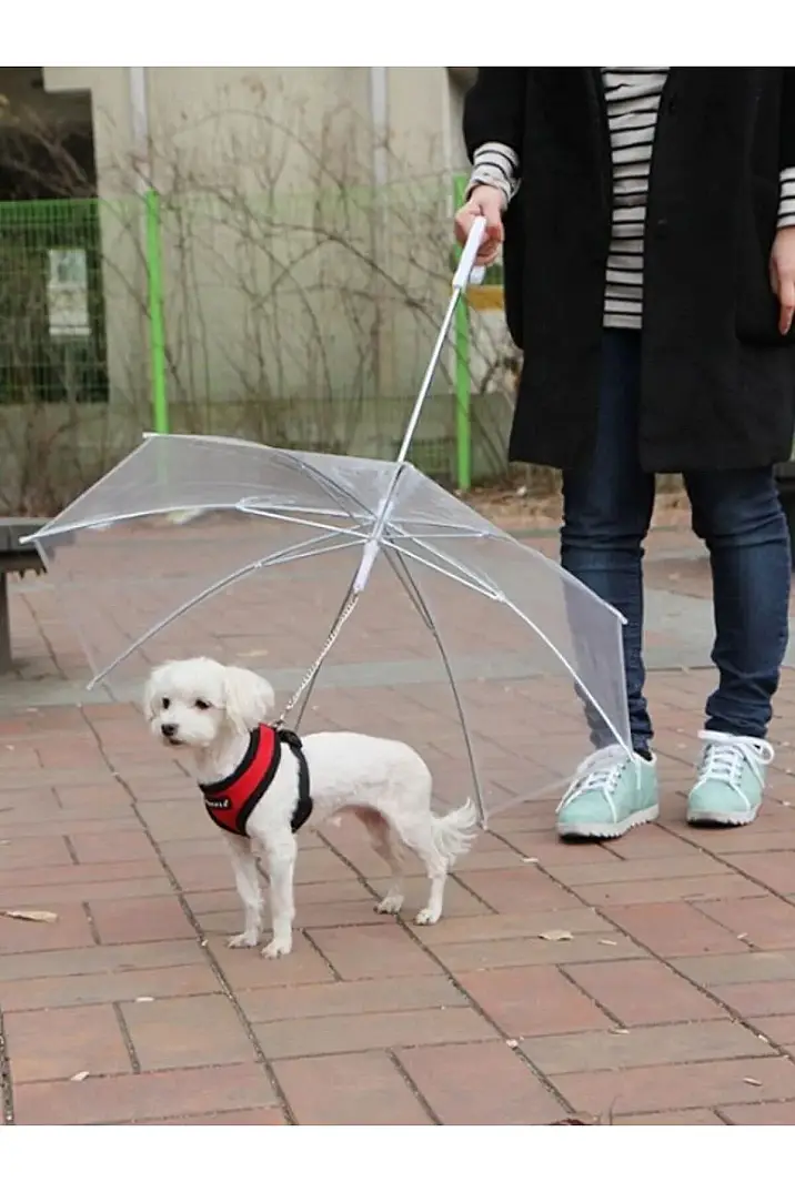 Umbrella Evcil Hayvan Şemsiyesi - 3