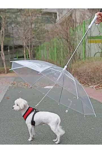 Umbrella Evcil Hayvan Şemsiyesi - 4