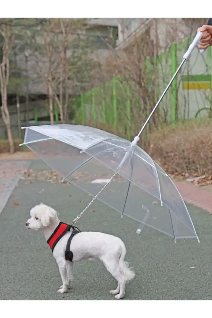 Umbrella Evcil Hayvan Şemsiyesi - 4