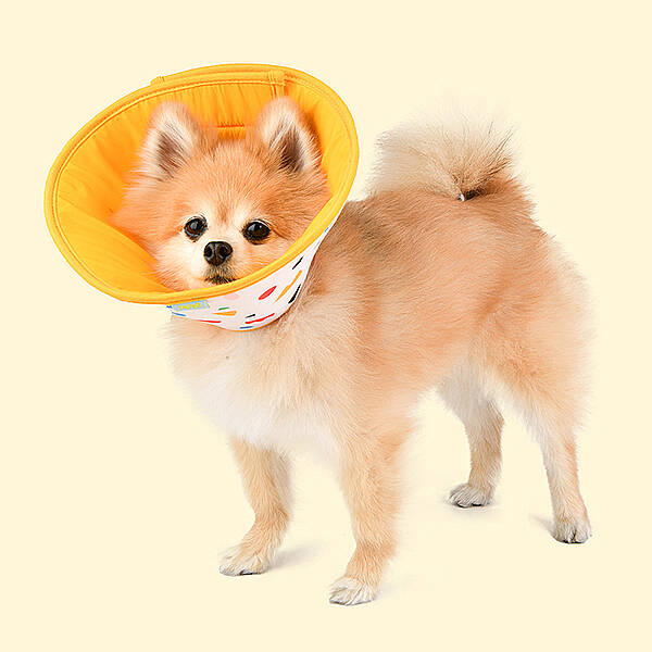 VARİOUS PATTERN NECK COLLAR KÖPEK SAĞLIĞI - 7