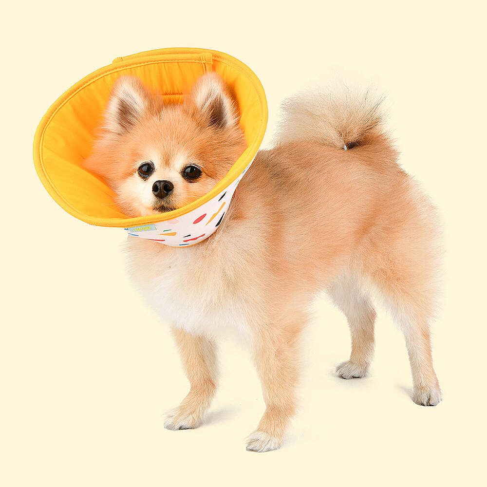 VARİOUS PATTERN NECK COLLAR KÖPEK SAĞLIĞI - 8