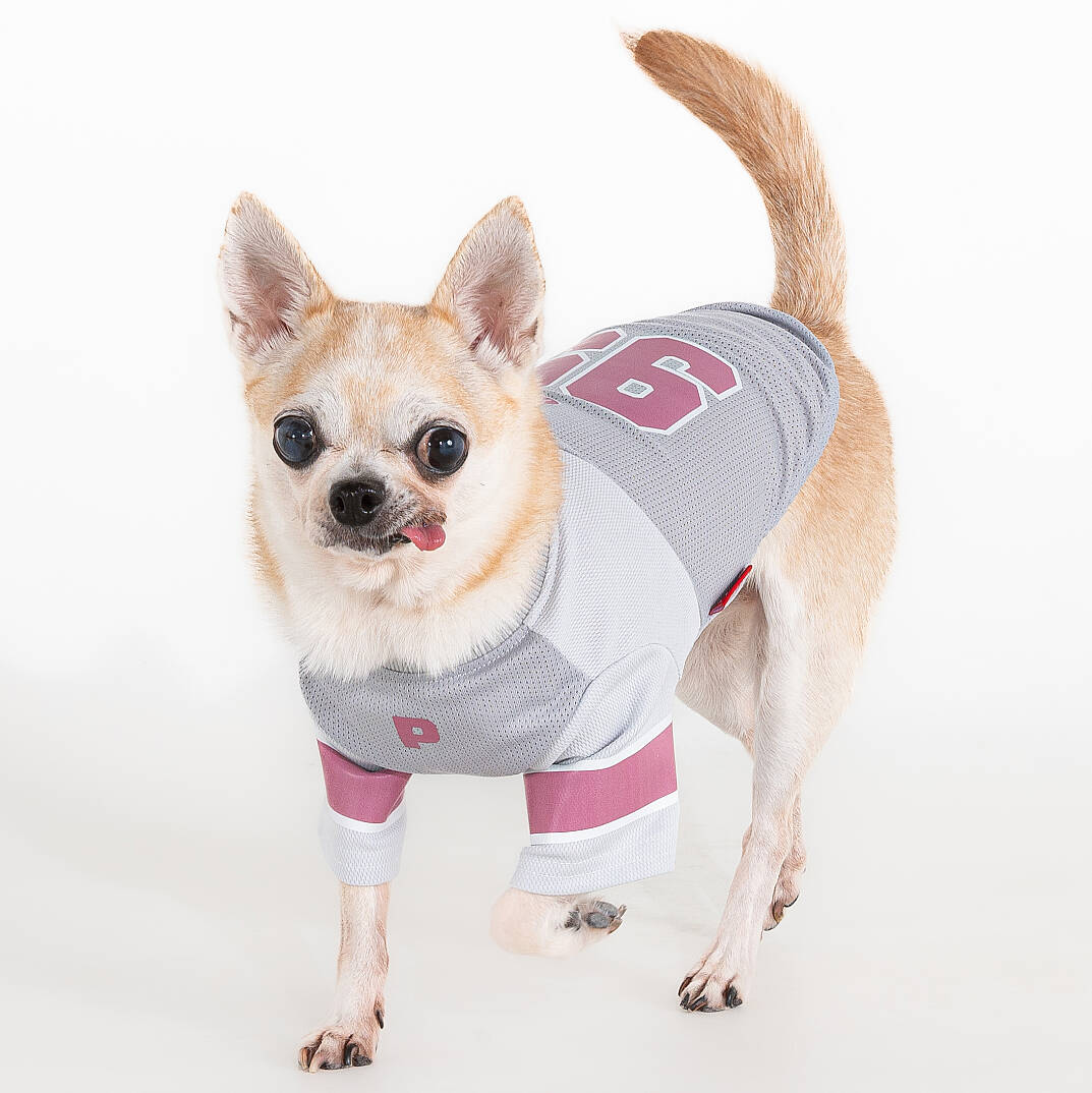 VARSITY / GREY - 3