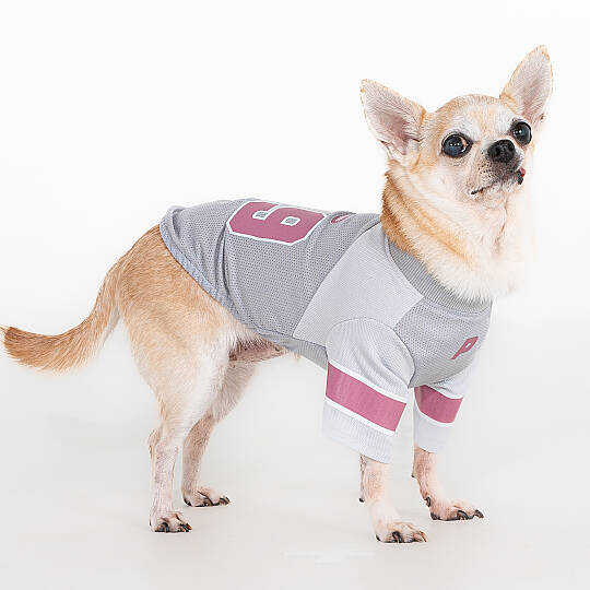 VARSITY / GREY - 4