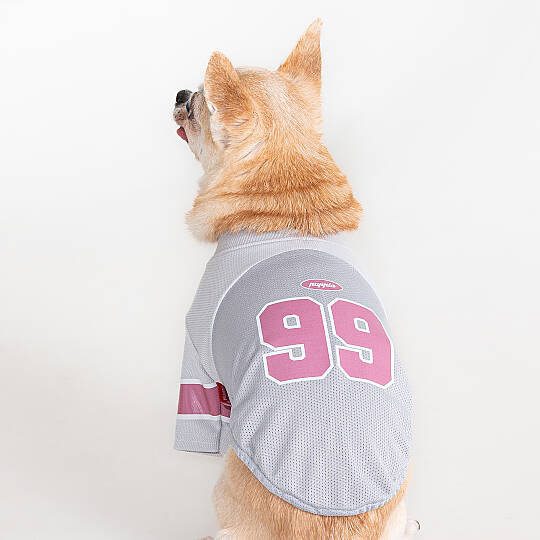 VARSITY / GREY - 5