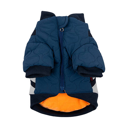 VERIDIAN/NAVY - 2