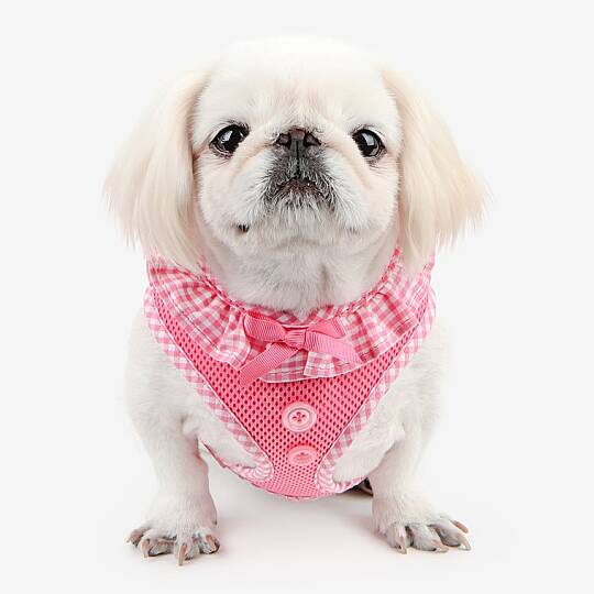 VIVIEN HARNESS A / PINK - 3