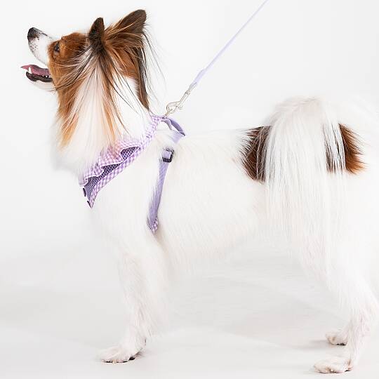 VIVIEN HARNESS A / VIOLET - 6