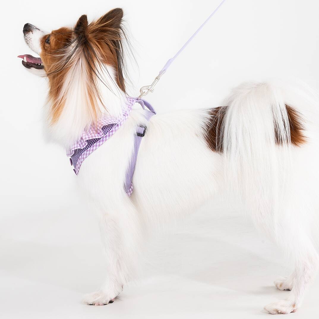VIVIEN HARNESS A / VIOLET - 6