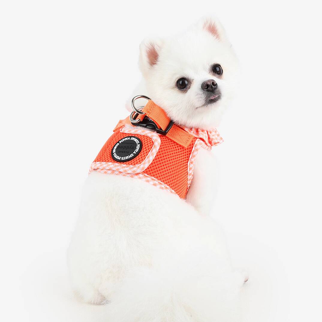 VIVIEN HARNESS / ORANGE - 5