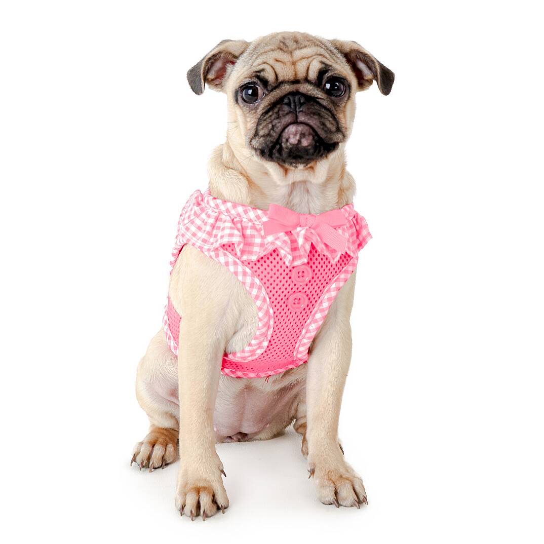 VIVIEN HARNESS / PINK - 5