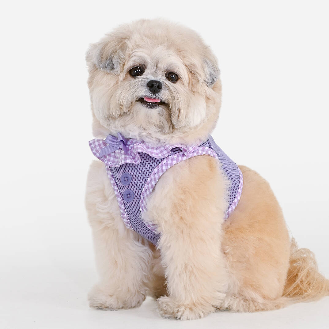 VIVIEN HARNESS / VIOLET - 5