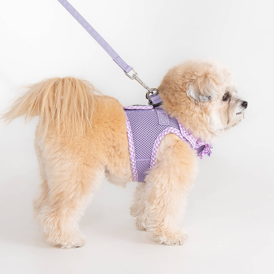 VIVIEN HARNESS / VIOLET - 6