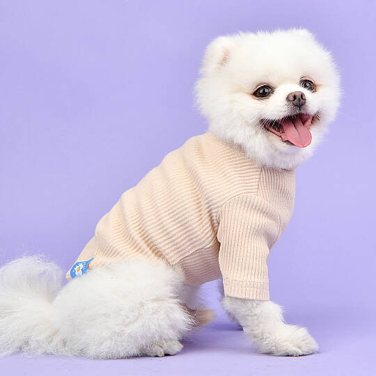 WAVE TURTLENECK / BEIGE - 5