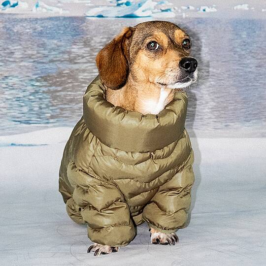 WAVY PUFFER SUIT / BROWN - 4