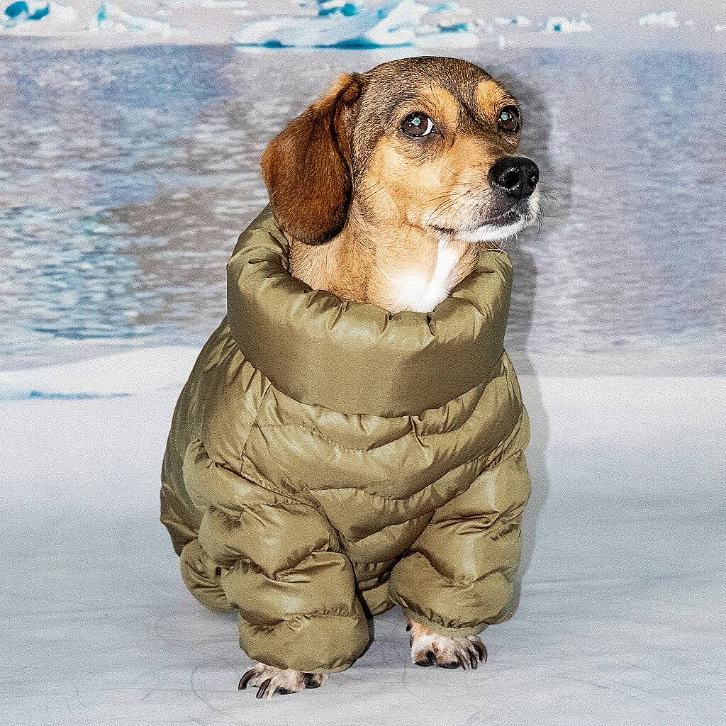 WAVY PUFFER SUIT / BROWN - 4