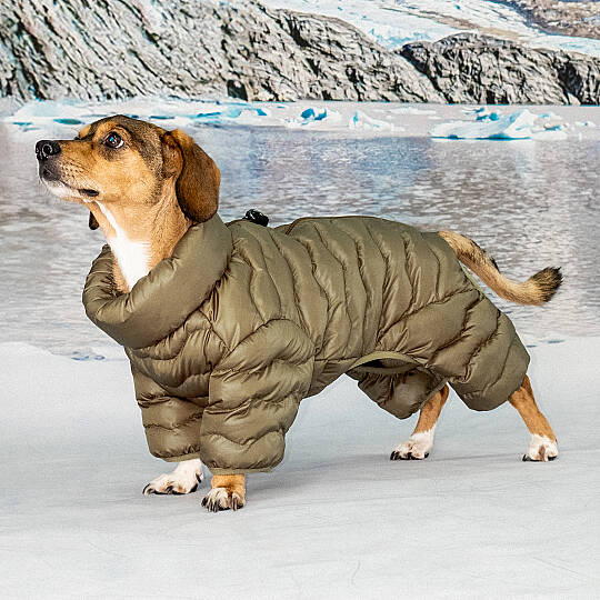 WAVY PUFFER SUIT / BROWN - 6