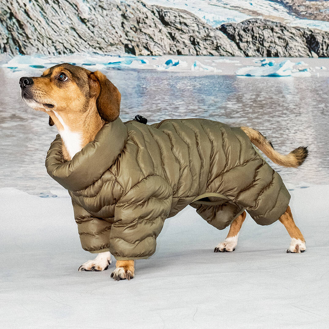 WAVY PUFFER SUIT / BROWN - 6