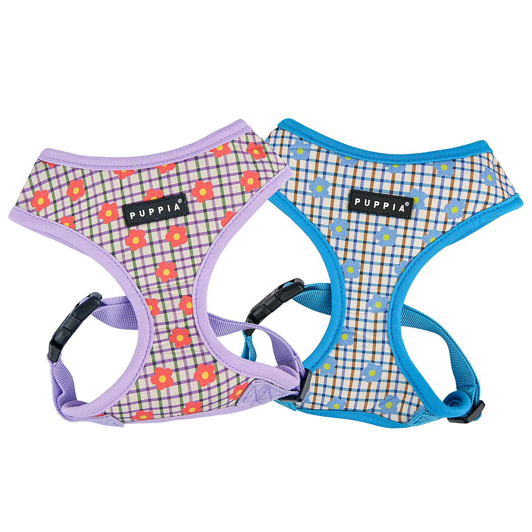 WESTLEY HARNESS A / VIOLET - 6