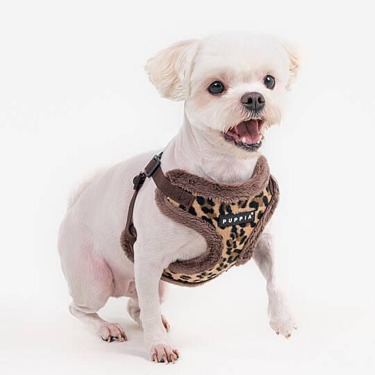 WILD HARNESS C PAZD-HC2267-BR - 5