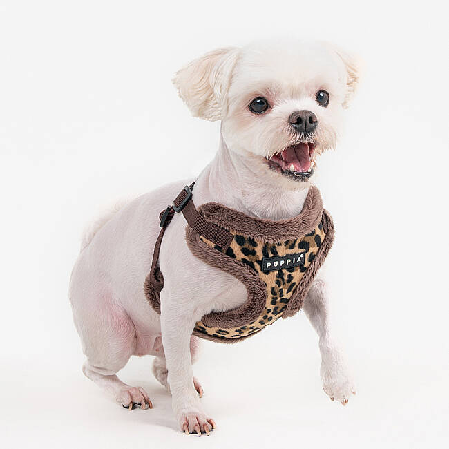 WILD HARNESS C PAZD-HC2267-BR - 5