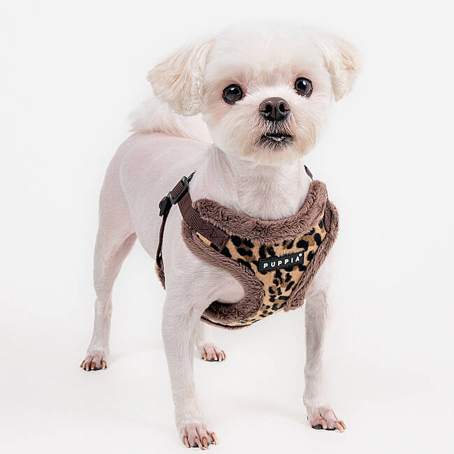 WILD HARNESS C PAZD-HC2267-BR - 6